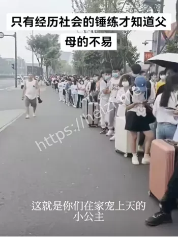 暑假工乱象