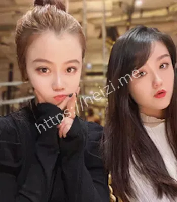 河北姐弟门事件