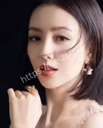 佟丽娅事业巅峰