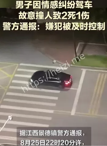 李某某开车撞人