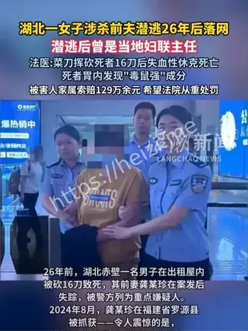 李红妇联主任风波