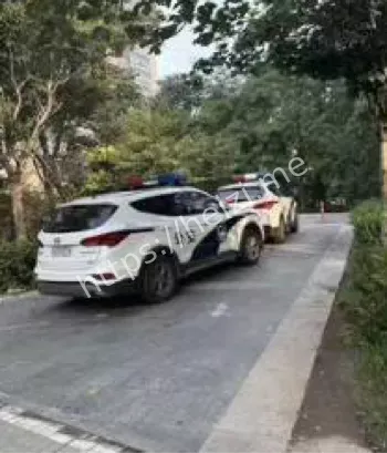 于朦胧坠楼阴谋论