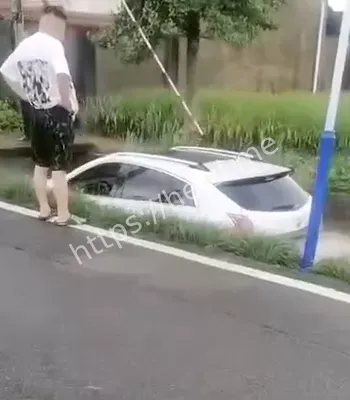 卧龙凤雏