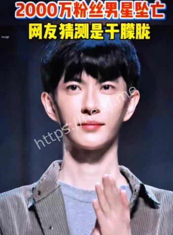 于朦胧坠楼事件时间线