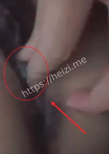 武汉交通向婷梅