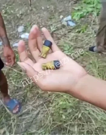 柏威夏寺法理争议时间线