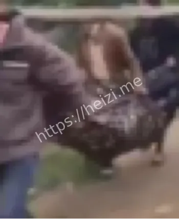 跨境执法边界与人道风险