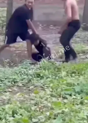 两个少年施暴内幕