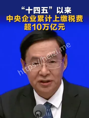 央企上缴税费口径