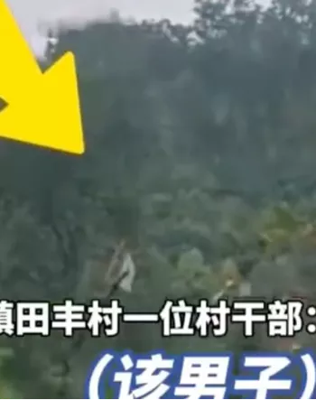 农村采蜂安全培训