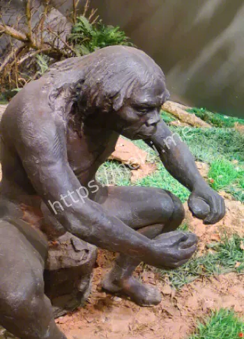 七十万年前第一把火