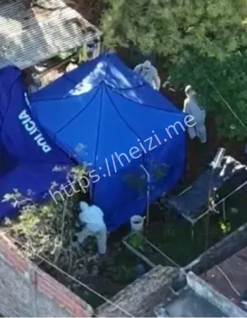 阿根廷女性杀戮事件始末