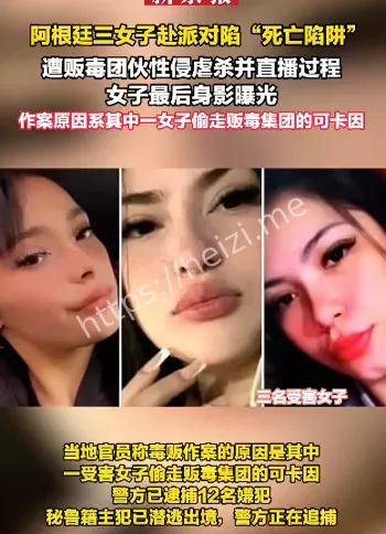 阿根廷女性杀戮事件始末