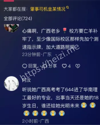 金雷老师醉酒驾车