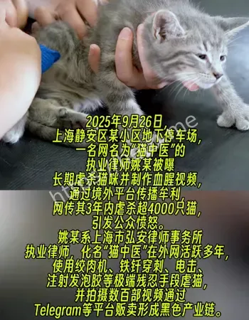 上海弘安事务所