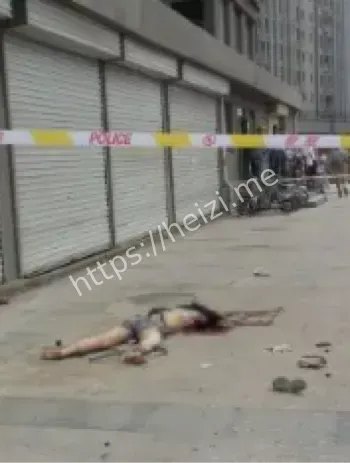 浙江温州乐清虹桥镇