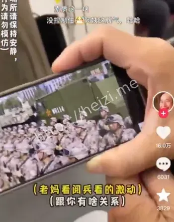 东北老妈在日本