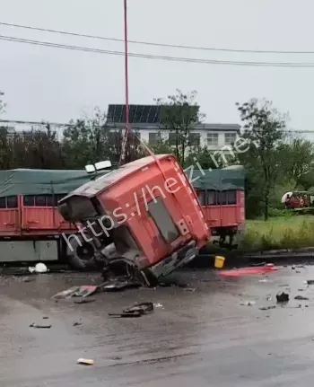 司机当场死亡车祸