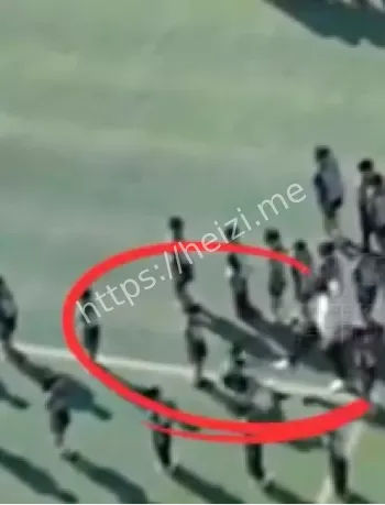 校园师德失范事件