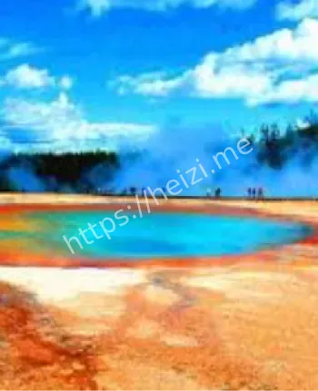 嗜热菌彩虹画家