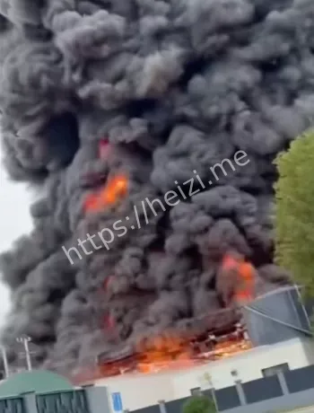 宸岳化工11人轻伤