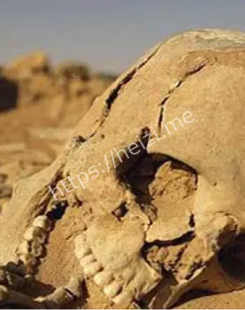 罗布泊病毒沙民传说