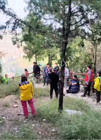 苏阳阳家庭悲情故事