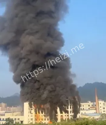 黑烟笼罩城市现场图细节