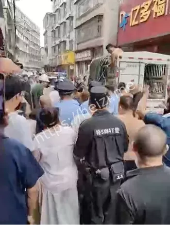 镇上无害化处理