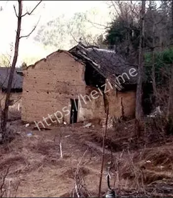 云南龙井村失踪事件