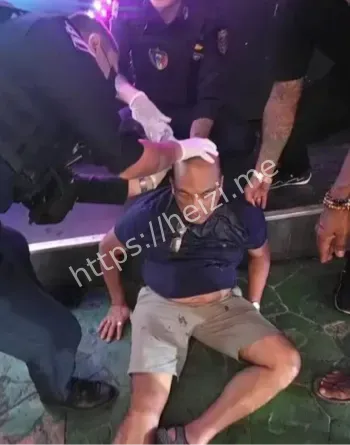 悉尼内西街头路人英雄扑倒