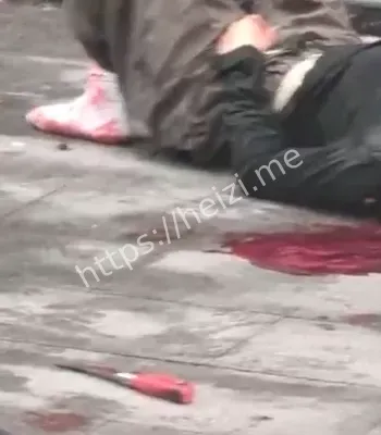 持刀捅杀后自杀