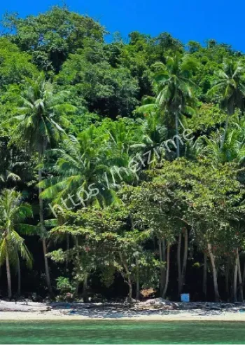 威海芜湖游客马岛失踪