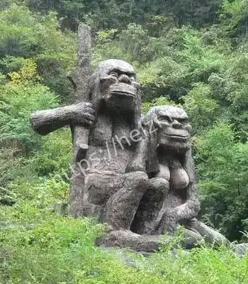 神秘毛发与脚印