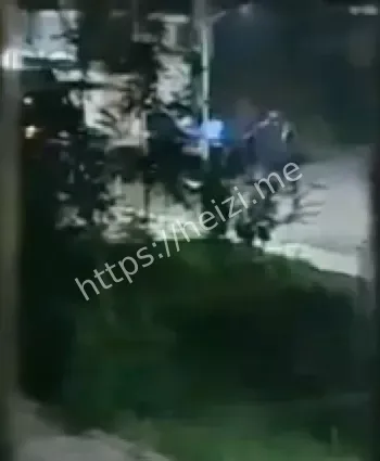 出轨分家产争执杀人案