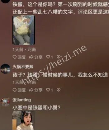 真铁蛋高铁事件
