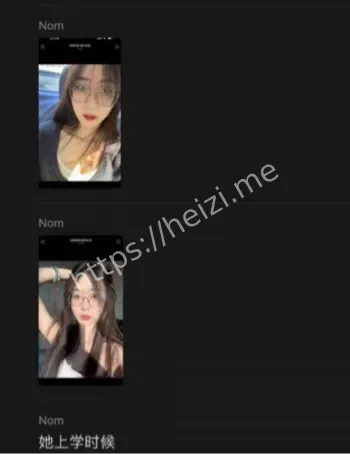 三年感情喂狗真相