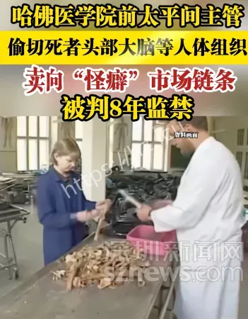 太平间变部位菜市场