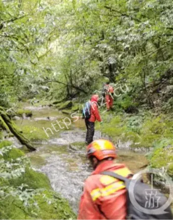 哀牢山原始森林凶险