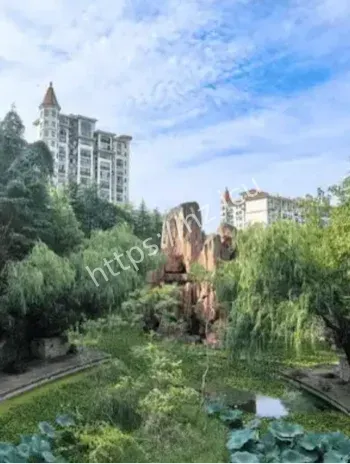 开发老板离奇去世