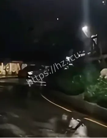 和平路7号乌鸦黑衣女人