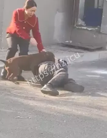 路人拍下惨烈全程