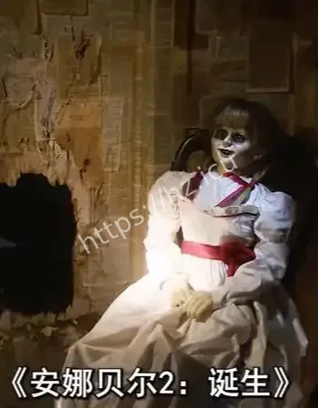 巡展中调查员酒店猝死