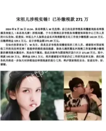 宋祖儿税务补缴271万事件