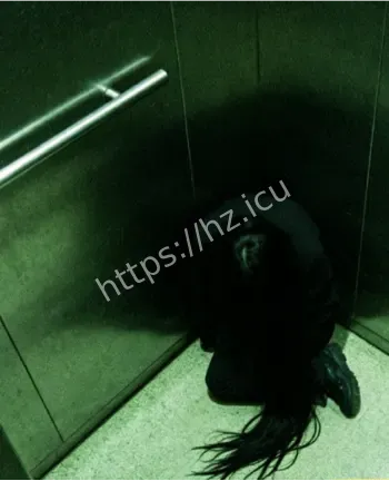 监控拍到黑影爬行