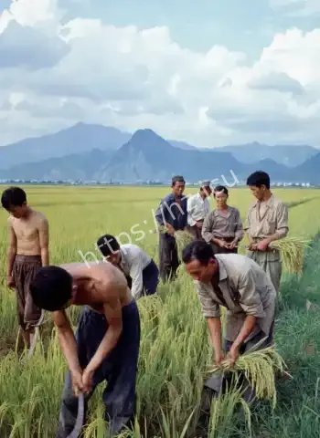 表面光鲜被怨鬼缠身