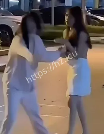 抓奸现场大乱斗