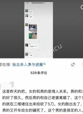 男子持刀狂砍后